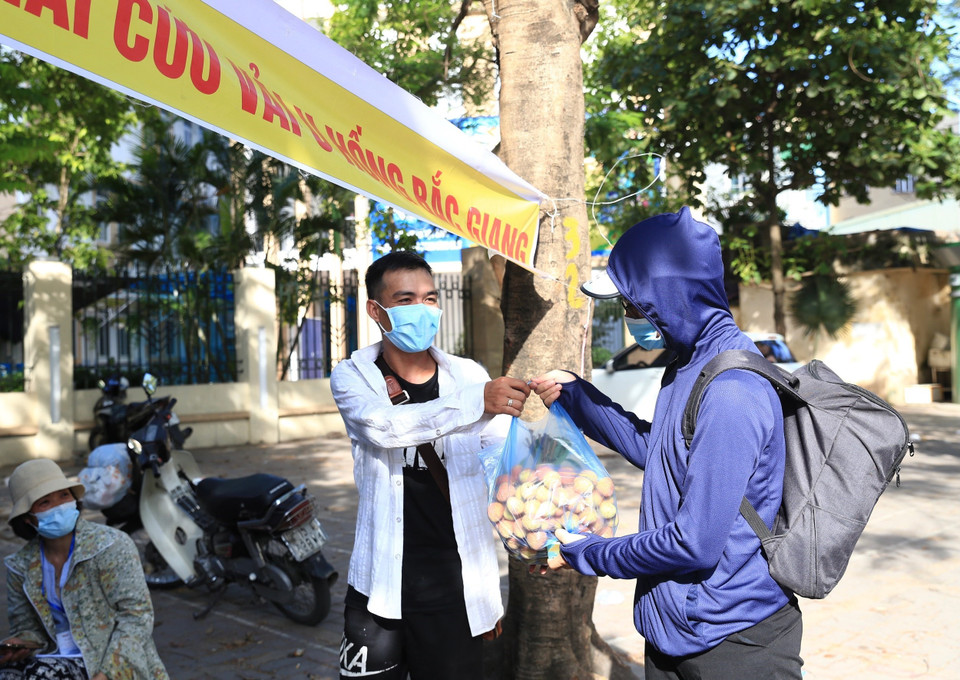 Người dân Thủ đô mua vải hỗ trợ nông dân Bắc Giang. (Ảnh: Hoàng Hiếu/TTXVN)