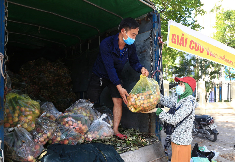 Vải Tân Yên (Phúc Hoà, Bắc Giang) được tiêu thụ trên đường Vũ Trọng Phụng. (Ảnh: Hoàng Hiếu/TTXVN)
