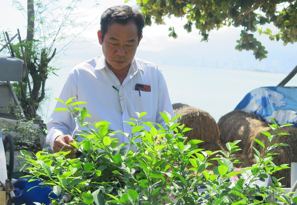 Cựu chiến binh, thương binh hạng 2/4 Nguyễn Văn Dũng (sinh năm 1966) trú tại phường Vĩnh Hòa, thành phố Nha Trang, tỉnh Khánh Hòa là một trong số ít những người lính trở về sau trận chiến đấu bảo vệ Gạc Ma năm 1988. (Ảnh: Phan Sáu/TTXVN)