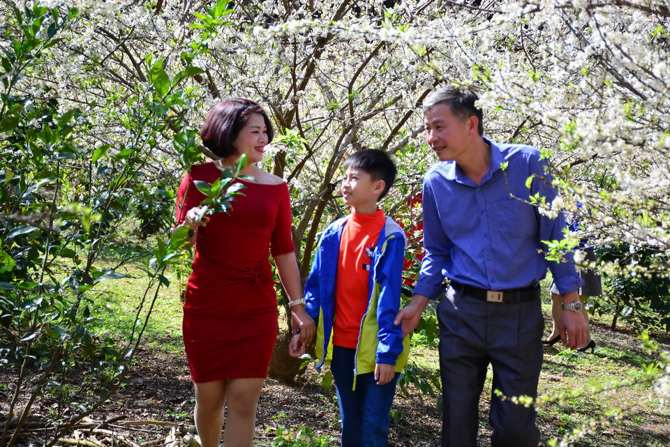 Hoa mận chỉ nở trong vòng 1 tuần đến 10 ngày nên rất nhiều du khách tận dụng dịp này để lưu giữ khoảnh khắc cùng người thân và bạn bè.