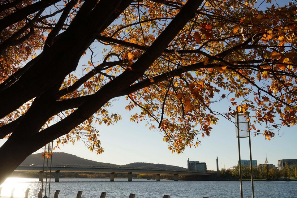 Dưới tán cây lá đỏ, lấp lánh những tia nắng mặt trời, đạp xe hay tản bộ là những trải nghiệm khó quên. (Ảnh: Sao Băng/Vietnam+)