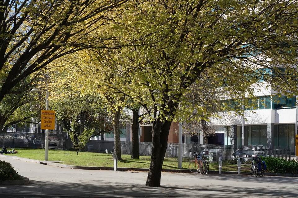 Đường phố Canberra bừng sáng dưới nắng Thu rực rỡ. (Ảnh: Sao Băng/Vietnam+)