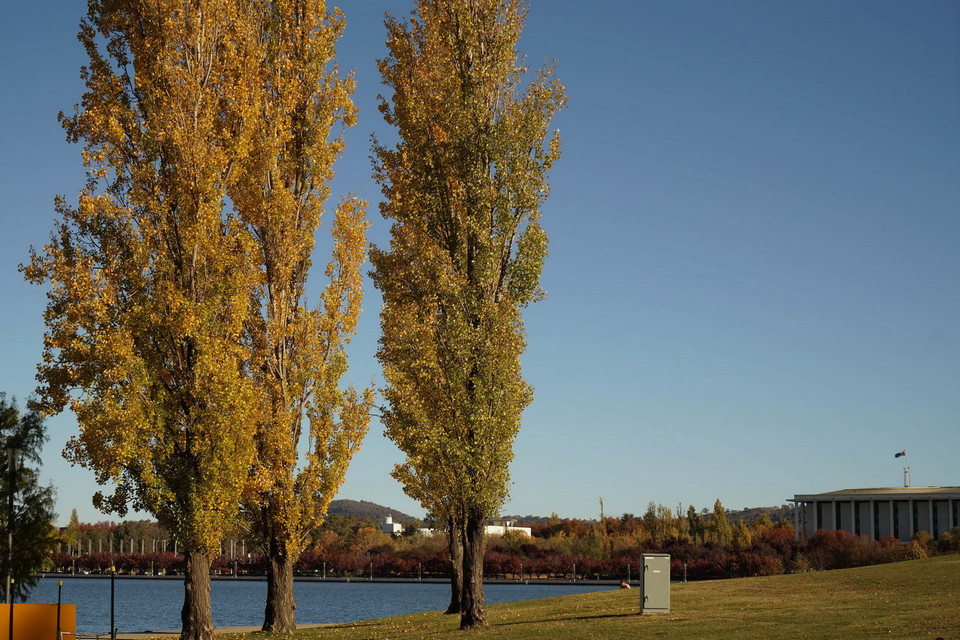 Đường phố Canberra bừng sáng dưới nắng Thu rực rỡ. (Ảnh: Sao Băng/Vietnam+)