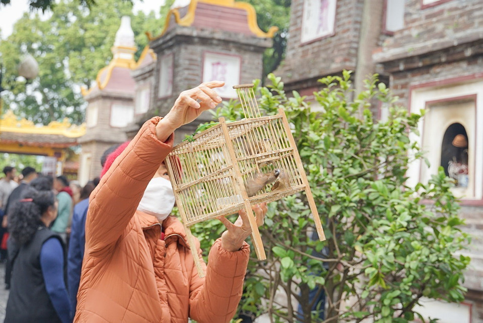 Người dân thả chim phóng sinh trong ngày đầu năm mới Quý Mão ở chùa Trấn Quốc, Hà Nội. (Ảnh: Khánh Hòa/TTXVN)