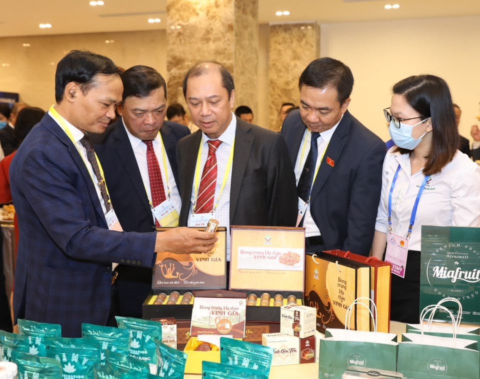  Thứ trưởng Bộ Ngoại giao Nguyễn Quốc Dũng và các đại biểu quốc tế tham quan các gian hàng bên lề lễ khai mạc. (Ảnh: Văn Điệp/TTXVN)