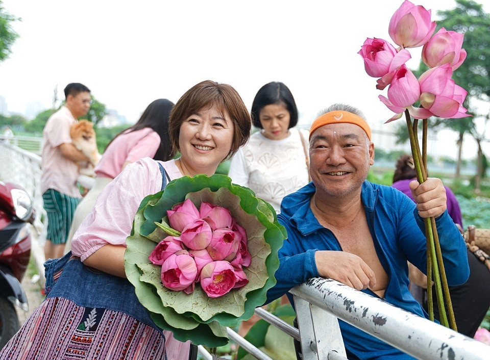 Du khách nước ngoài chụp ảnh với sen Bách Diệp Hồ Tây ngay khi mới được thu hái. (Ảnh: Khánh Hòa/TTXVN)