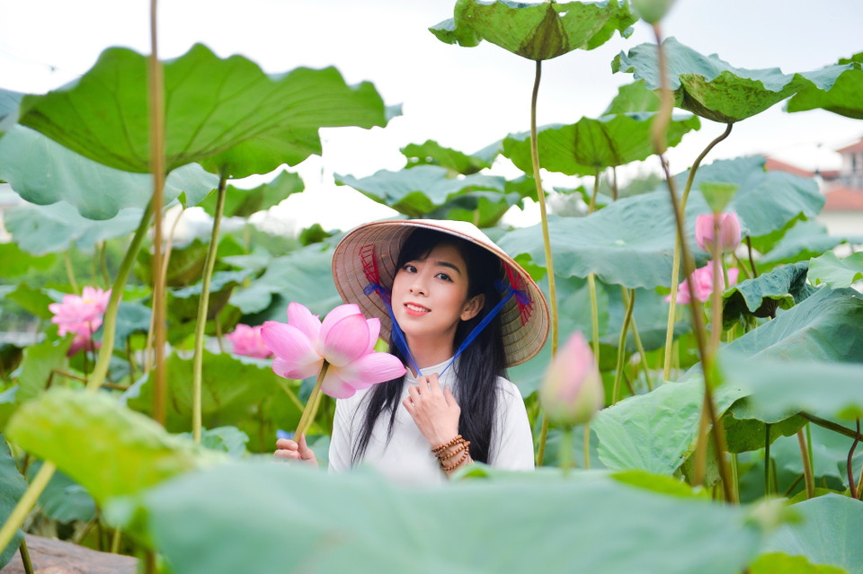 Từ lâu nay, hình ảnh hoa sen đã trở nên quen thuộc với người dân Việt Nam và nhiều quốc gia Á Đông, là loài hoa tượng trưng cho vẻ đẹp tươi sáng, thanh cao và thuần khiết, đại diện nét đẹp tinh khôi, sự duyên dáng, dịu dàng của người phụ nữ. (Ảnh: TTXVN)