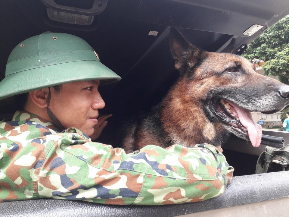 Chó nghiệp vụ được triển khai tham gia công tác tìm kiếm những người còn mất tích. (Ảnh: Đoàn Hữu Trung/TTXVN)