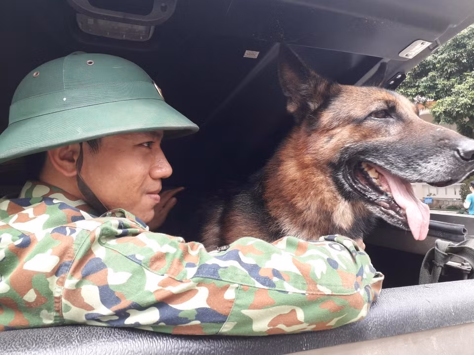 Chó nghiệp vụ được triển khai tham gia công tác tìm kiếm những người còn mất tích. (Ảnh: Đoàn Hữu Trung/TTXVN)