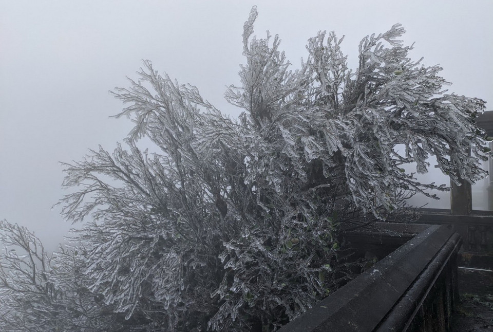 Đợt lạnh sâu này có thể kéo dài đến ngày 23-24/2, cảnh báo cấp độ rủi ro thiên tai cấp 1. (Ảnh: Anh Tuấn/TTXVN)