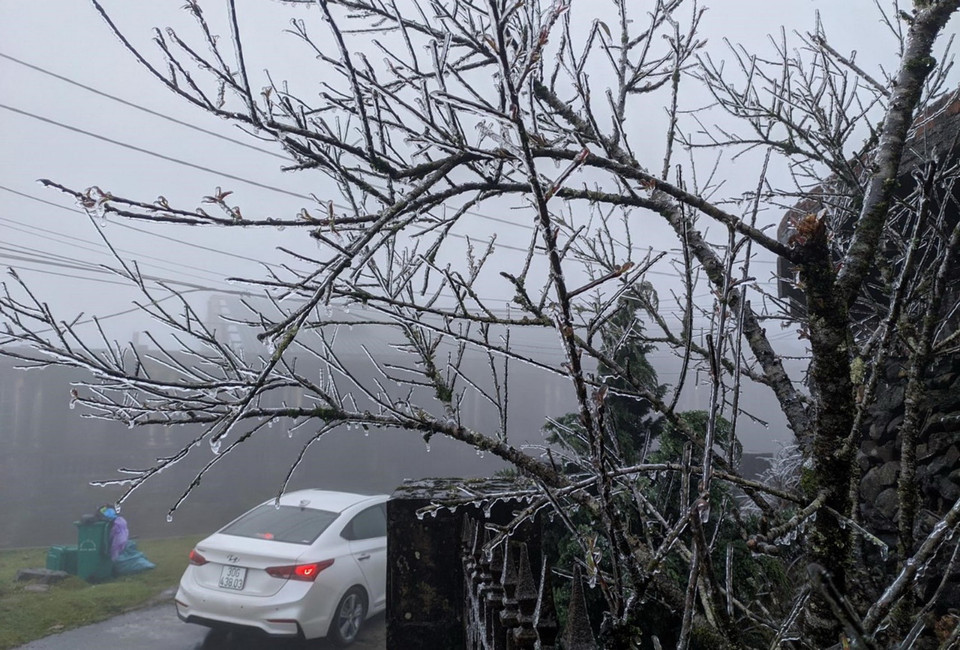 Cung đường lên đỉnh núi Mẫu Sơn nhỏ, hẹp, có nhiều đoạn cua gấp, thêm vào đó thời tiết lạnh giá, có mưa phùn và sương mù bao phủ dày đặc đang gây nhiều khó khăn cho các phương tiện giao thông khi lưu thông. (Ảnh: Anh Tuấn/TTXVN)