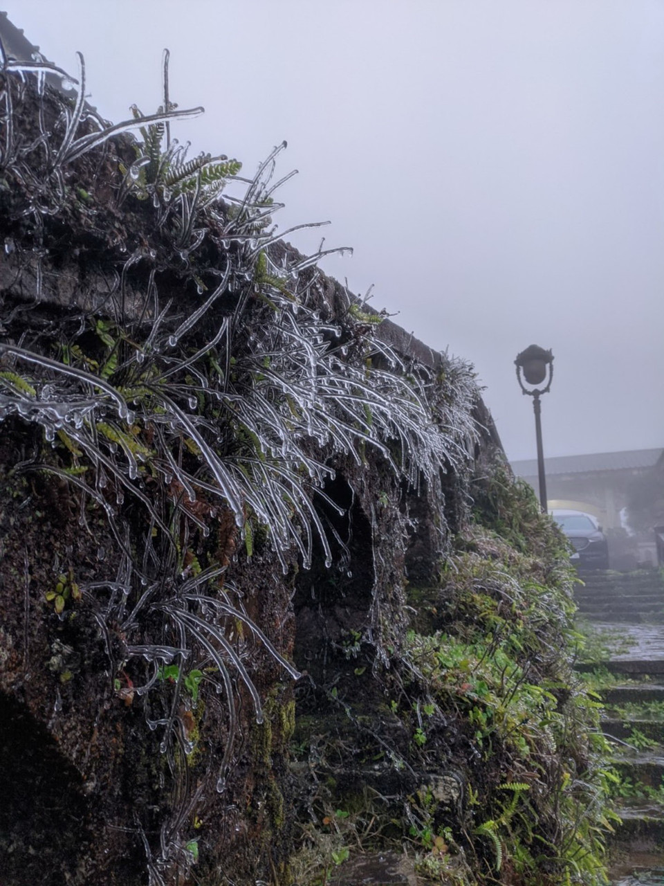 Xuất hiện băng giá trên đỉnh Mẫu Sơn. (Ảnh: Anh Tuấn/TTXVN)