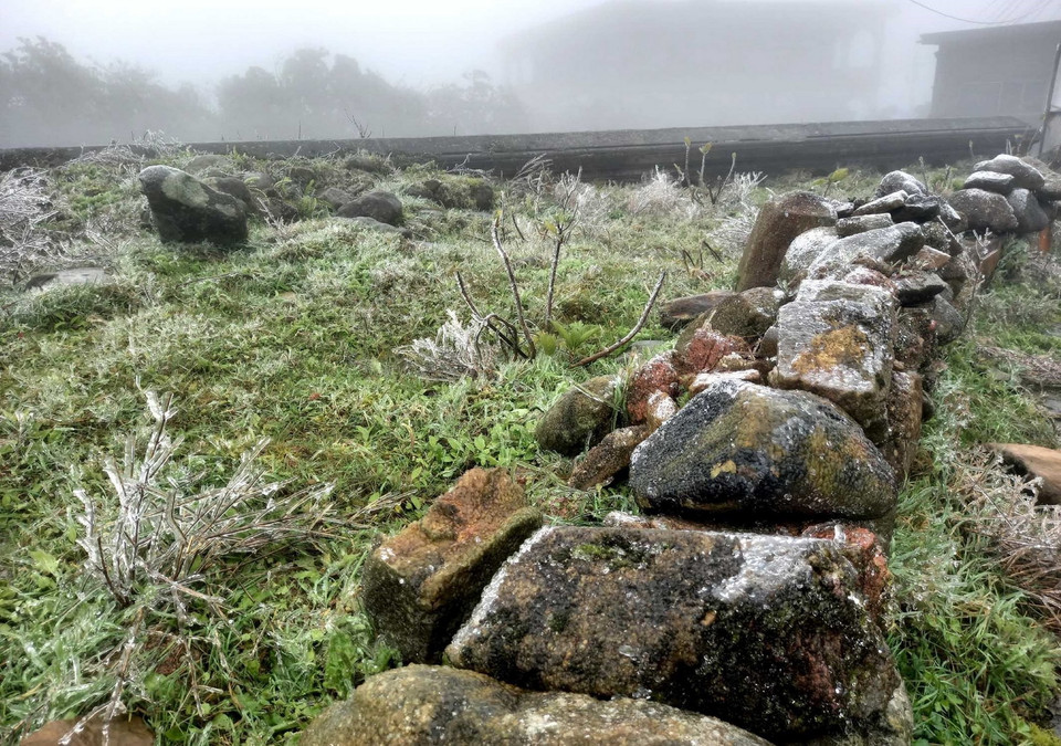 Băng giá xuất hiện trên những ngọn cỏ ở đỉnh Mẫu Sơn. (Ảnh: Anh Tuấn/TTXVN)