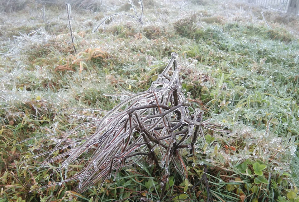  Từ nay cho đến ngày 22/2, Lạng Sơn vẫn tiếp tục xảy ra rét đậm, rét hại, nhiệt độ thấp nhất từ 3-6 độ C, vùng núi cao nhiệt độ khoảng 0 độ C; khả năng vẫn tiếp tục xảy ra băng giá và mưa tuyết. (Ảnh: Anh Tuấn/TTXVN)