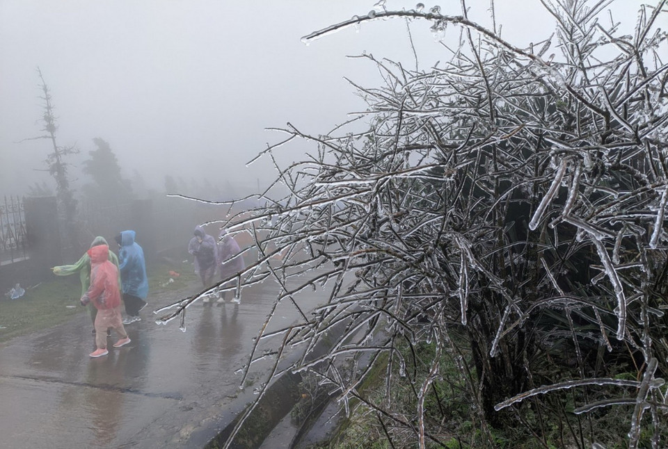 Từ ngày 18 đến trưa 20/2 đã có 2.500 lượt khách du lịch đến Mẫu Sơn và lượng khách du lịch vẫn đang tiếp tục đến Mẫu Sơn. (Ảnh: Anh Tuấn/TTXVN)