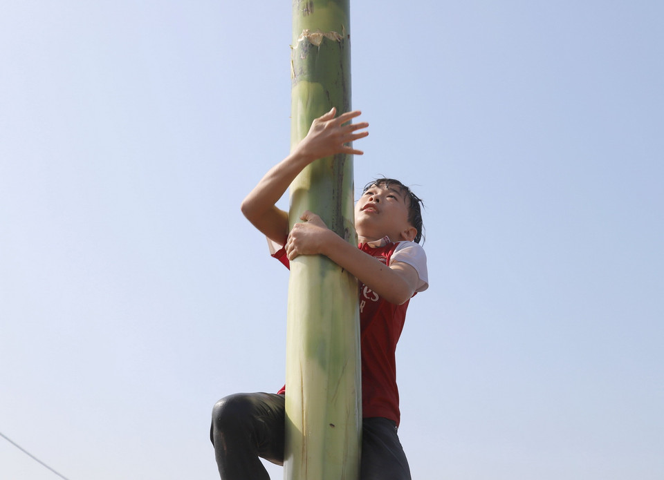 Nỗ lực để đưa cơ thể lên cao dần, tiến đến khu vực ngọn cây có cắm rất nhiều phần quà thưởng của Ban tổ chức. (Ảnh: Xuân Tiến/TTXVN)