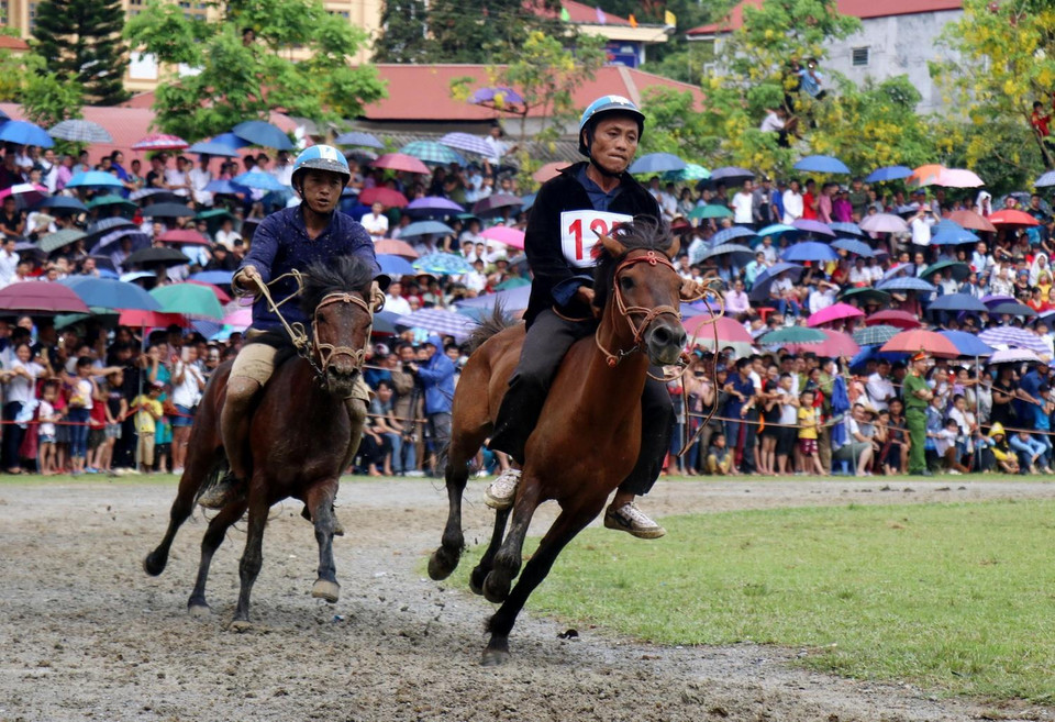 Tham dự giải có 87 vận động viên (nài ngựa) đến từ khắp các bản làng vùng cao Lào Cai như Si Ma Cai, Bắc Hà và các tỉnh Hà Giang, Tuyên Quang. (Ảnh: Quốc Khánh/TTXVN)