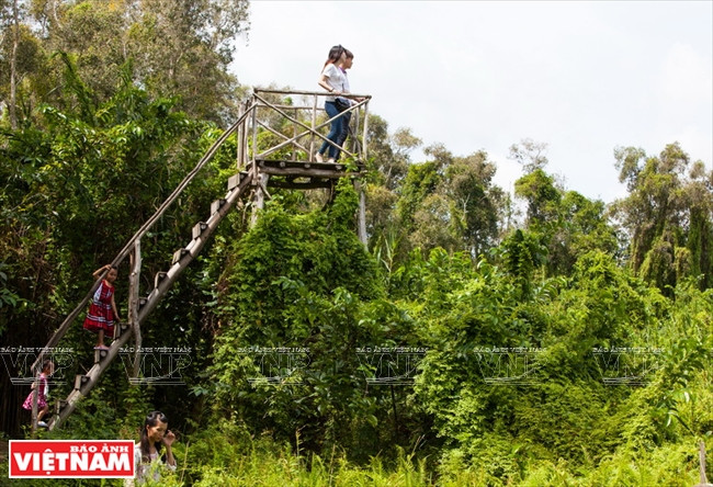 Du khách lên tháp quan sát trong khu di tích để ngắm toàn cảnh của hệ sinh thái hoang sơ từ trên cao. (Nguồn: Báo Ảnh Việt Nam/Vietnam+)