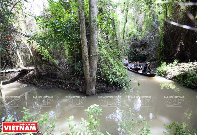 ...hoặc ngồi thuyền len lỏi trên những con kênh đào trong khu di tích. (Nguồn: Báo Ảnh Việt Nam/Vietnam+)