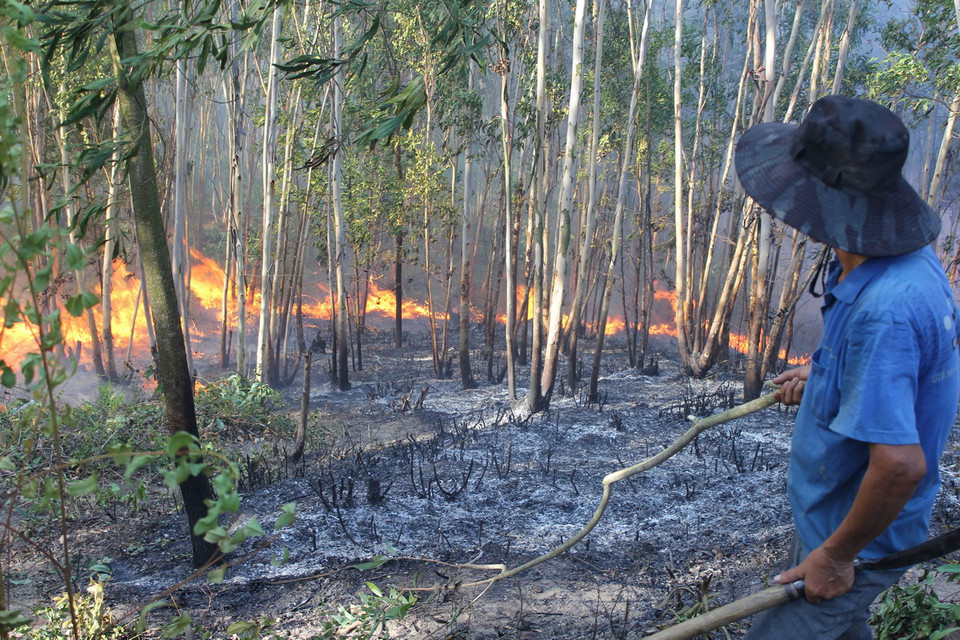  Những người dân đầu tiên phát hiện đám cháy dù rất cố gắng dập lửa nhưng đành bất lực. (Ảnh: Ly Kha/TTXVN)