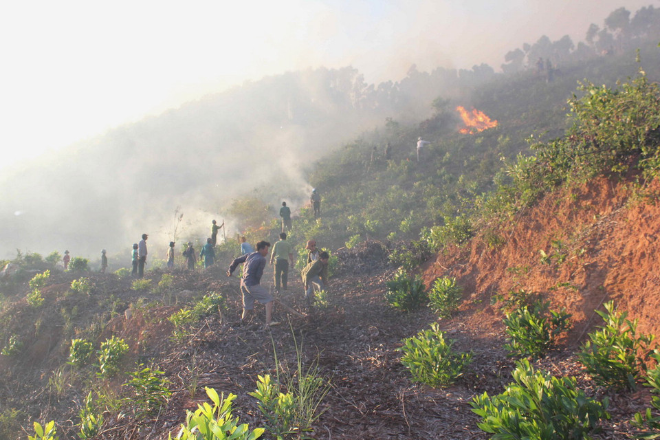  Người dân cùng các lực lượng chức năng dọn, đốt thực bì tạo băng cản lửa. (Ảnh: Ly Kha/TTXVN)