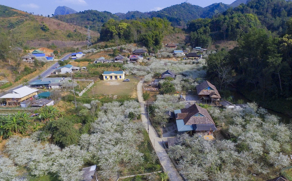 Bản Phiêng Ban nằm bên Quốc lộ 279 dưới chân đèo Tằng Quái nối thành phố Điện Biên Phủ với huyện Mường Ảng. (Ảnh: Xuân Tư/TTXVN)