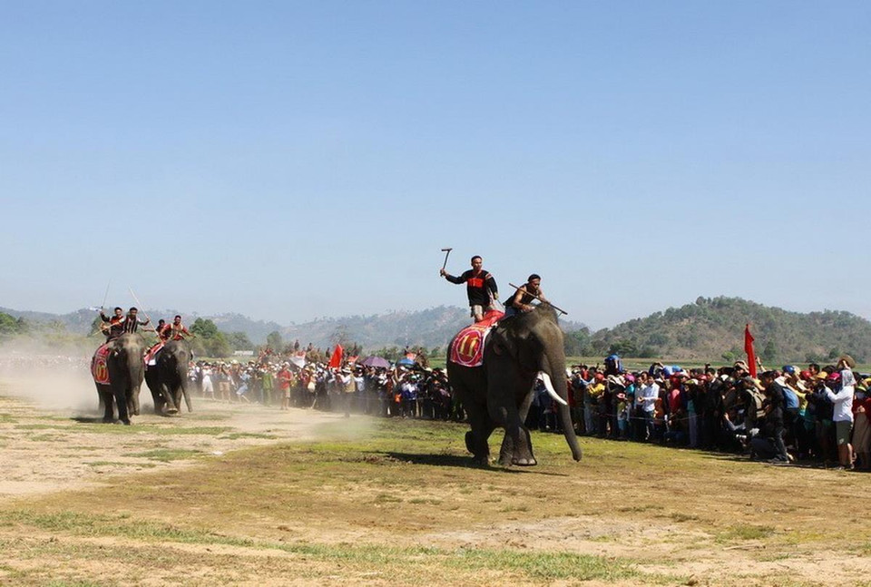 Voi Kham Sen số 11 dẫn đầu vòng đua chung kết. (Ảnh: Dương Giang/TTXVN)