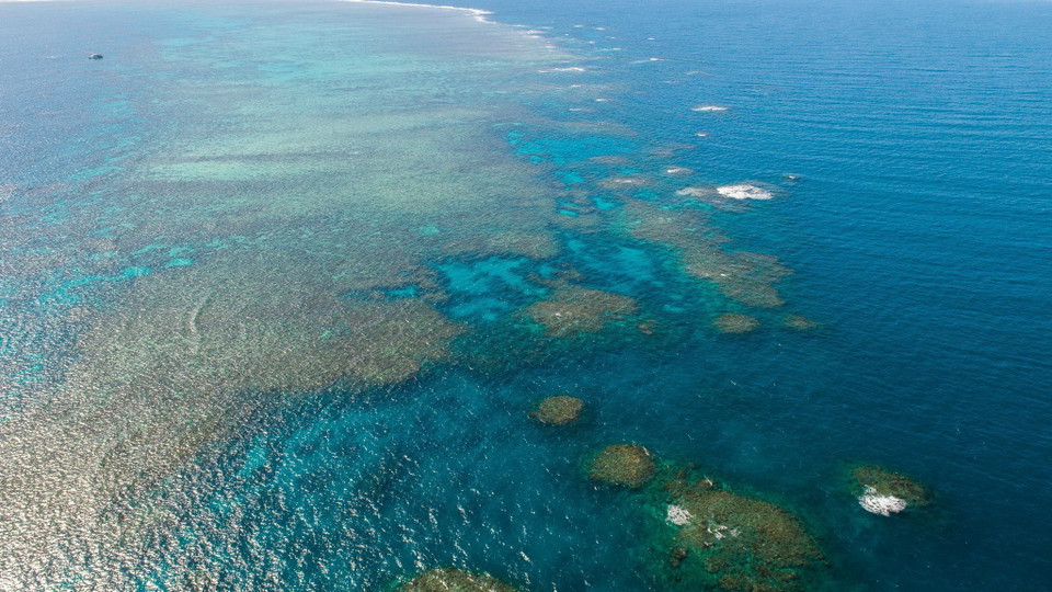 Rạn san hô Great Barrier ở Queensland, Australia. (Ảnh: THX/TTXVN)