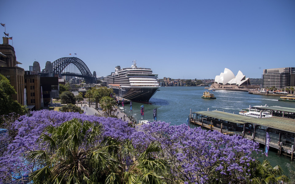 Một trong những điểm ngắm phượng tím thu hút nhiều du khách nhất là thành phố Sydney. (Ảnh: THX/TTXVN)