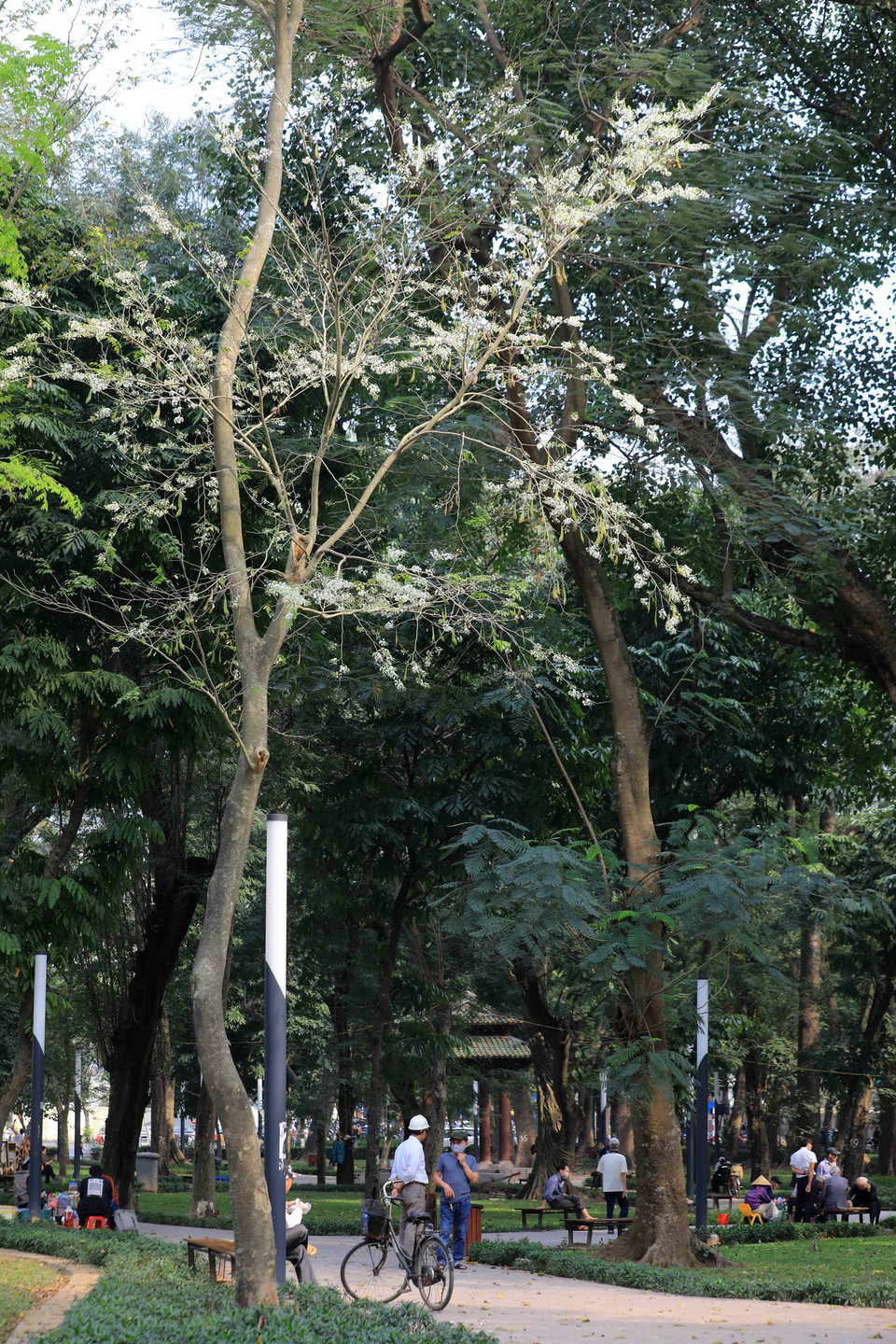 Góc yên bình công viên Lenin. (Ảnh: Nhật Anh/TTXVN)