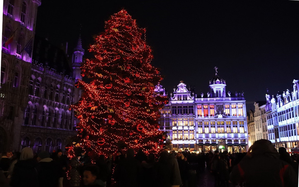 Quảng trường Lớn - Grand Place với cây thông khổng lồ ở thủ đô Brussels lung linh trong sắc màu Giáng sinh. (Ảnh: Hương Giang/TTXVN)