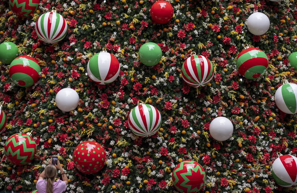  Cây thông được trang hoàng rực rỡ đón Giáng sinh tại Sydney, Australia, ngày 16/12/2021. (Ảnh: THX/TTXVN)