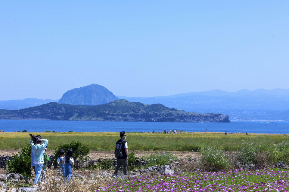  Khách du lịch thích thú đi dạo trên những con đường mòn xuyên qua cánh đồng lúa mạch và hoa. (Ảnh: Anh Nguyên/TTXVN)