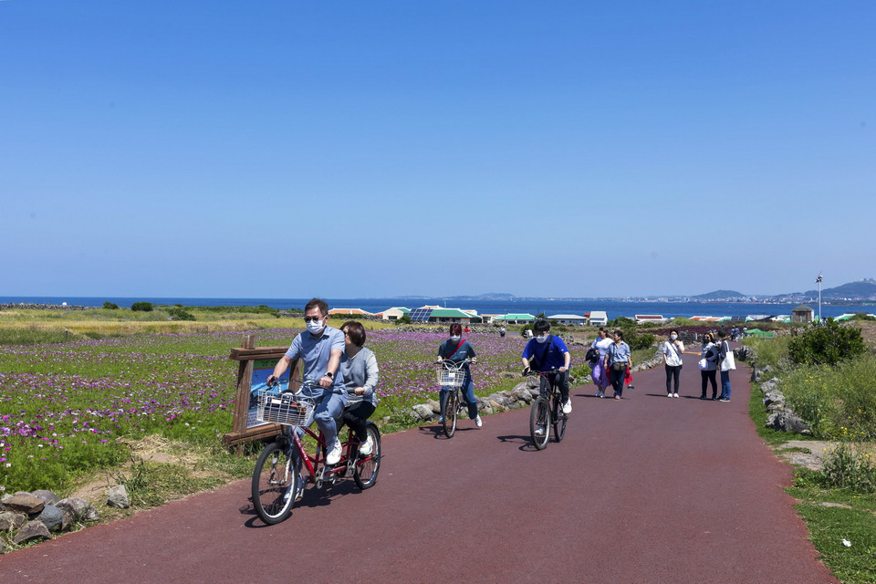  Khách du lịch có thể đi bộ hoặc thuê xe đạp để thăm quan đảo Gapado với quãng đường 4,3km. (Ảnh: Anh Nguyên/TTXVN)