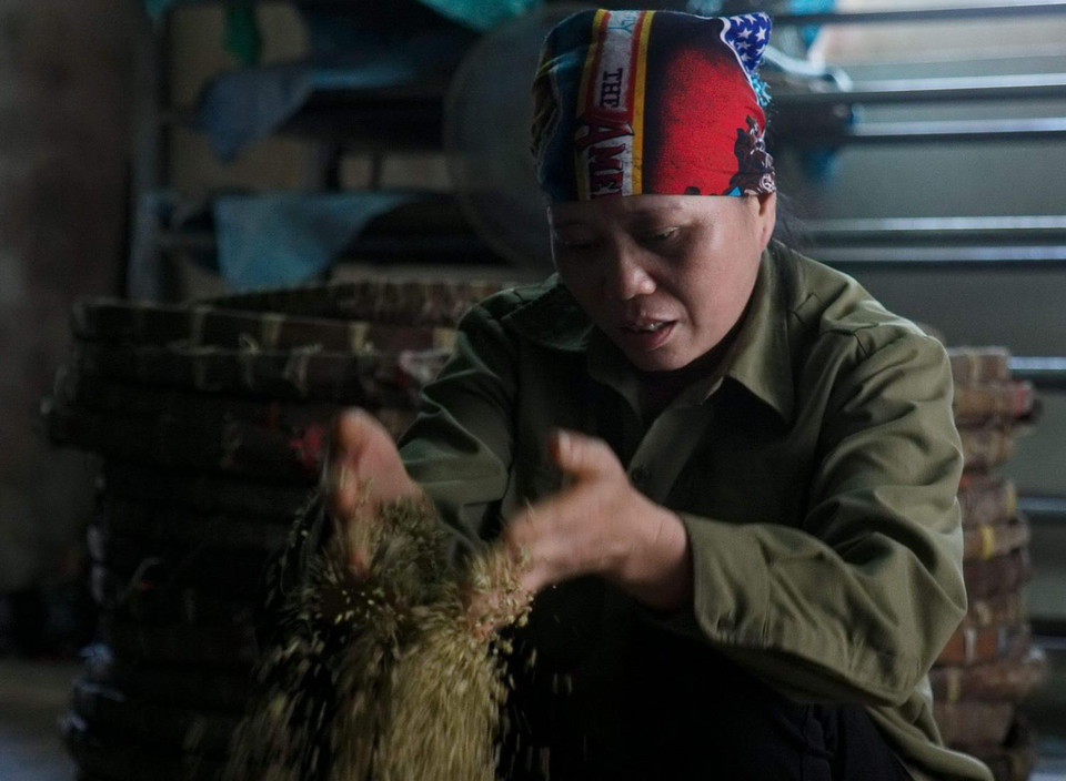 Gạo được chờ lên mốc xanh và đem ra xoa cho các hạt xôi tơi. (Ảnh: Phạm Kiên/TTXVN)