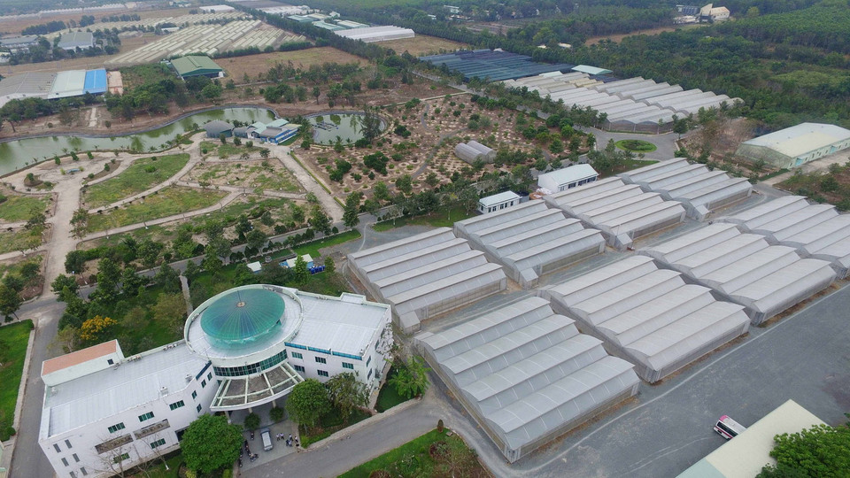 Khu Nông nghiệp công nghệ cao Thành phố Hồ Chí Minh nằm tại xã Phạm Văn Cội, huyện Củ Chi, gần 10 năm đi vào hoạt động đã phát triển thành một khu kinh tế kỹ thuật, thu hút đầu tư trong và ngoài nước, huy động các nguồn lực khoa học công nghệ cao trong sản xuất nông nghiệp. (Ảnh: Mạnh Linh/TTXVN)