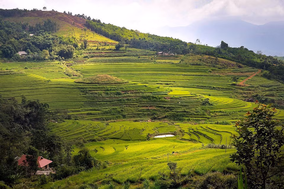 Xen lẫn trên những sườn đồi là ruộng bậc thang và cây rừng, không gian nơi đây vẫn còn nguyên sơ và thanh bình. (Ảnh: Trọng Đạt/TTXVN)