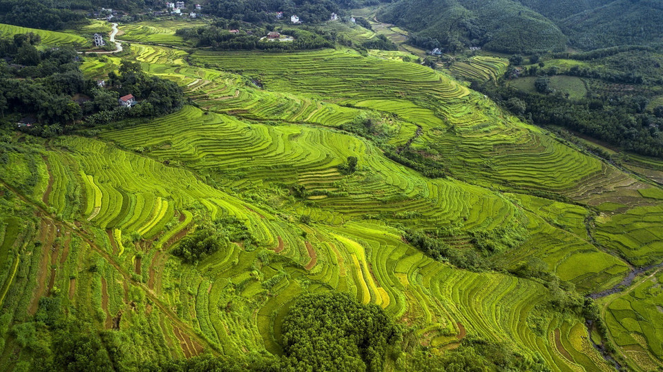 Vẻ đẹp của những thửa ruộng bậc thang Miền Đồi, tỉnh Hòa Bình, không thua kém gì so với những vùng đất vốn đã rất nổi tiếng về ruộng bậc thang như Lào cai, Yên Bái... (Ảnh: Trọng Đạt/TTXVN)
