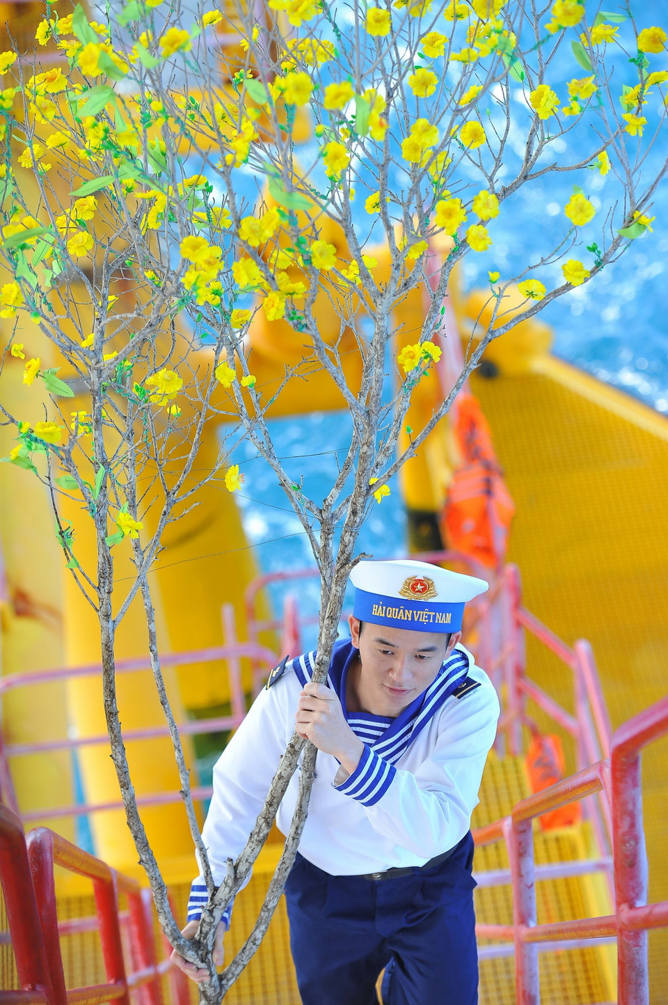 Sắc mai vàng mang mùa Xuân về trên các nhà giàn DK1. (Ảnh: TTXVN)