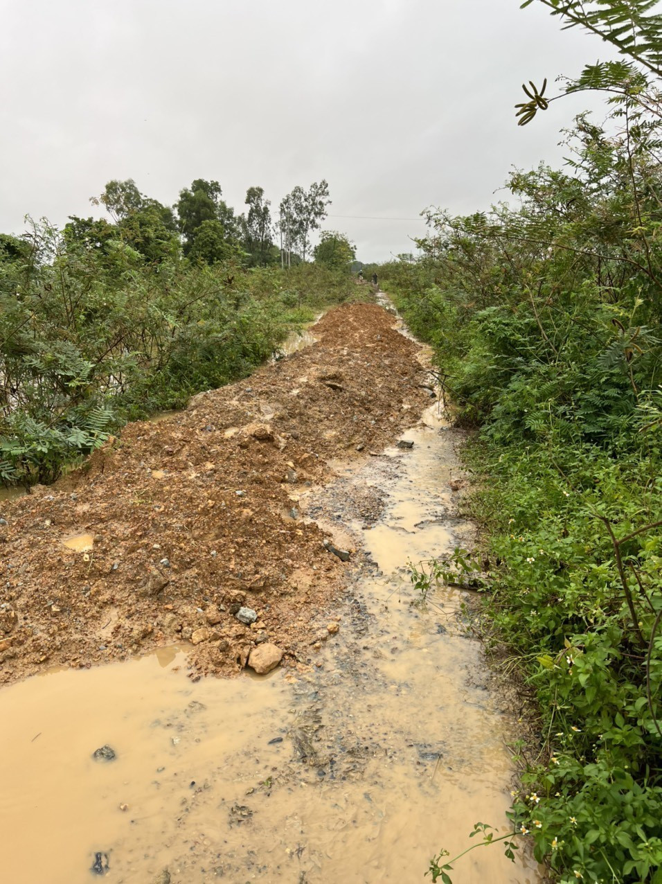 Đoạn đê được gia cố. (Ảnh: Tá Chuyên/TTXVN)