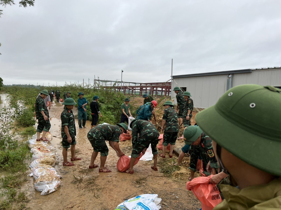 Lực lượng bộ đội cùng người dân nỗ lực gia cố đê. (Ảnh: Tá Chuyên/TTXVN)