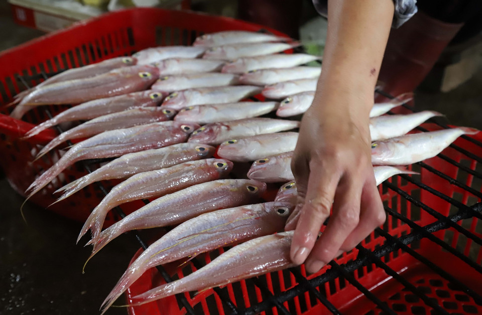  Việc sắp xếp cá biển lên mặt “rả” trước lúc mang đi nướng cũng đòi hỏi sự miệt mài, tỉ mỉ để thân cá luôn giữ được hình dạng tự nhiên nhất, lúc nướng sẽ mau chín, chín đều. (Ảnh: Xuân Tiến/TTXVN)