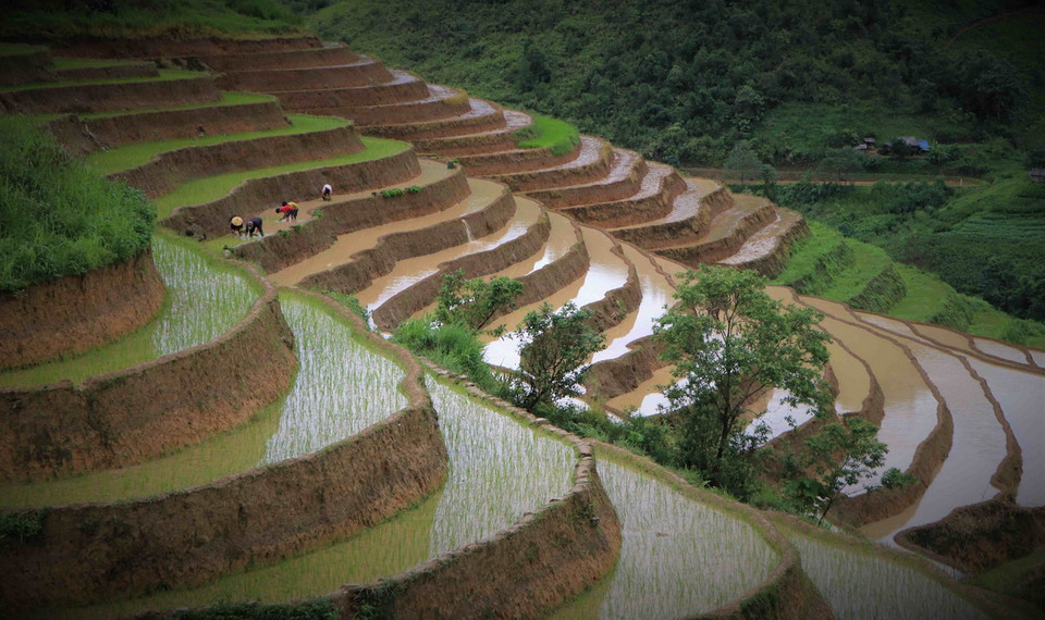Những thửa ruộng bậc thang Khun Há, huyện Tam Đường, tỉnh Lai Châu vào mùa nước đổ. (Ảnh: Nguyễn Oanh/TTXVN)