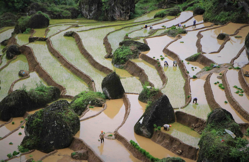 Vẻ đẹp của ruộng bậc thang ở Khun Há. (Ảnh: Nguyễn Oanh/TTXVN)