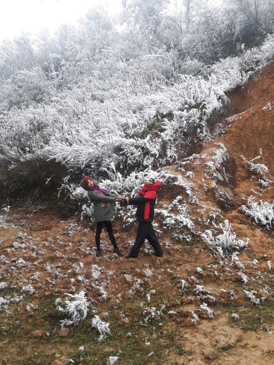 Du khách thích thú trước cảnh băng giá phù dày trên cành cây ở đỉnh đèo Khau Phạ. (Ảnh: Tuấn Anh/TTXVN)