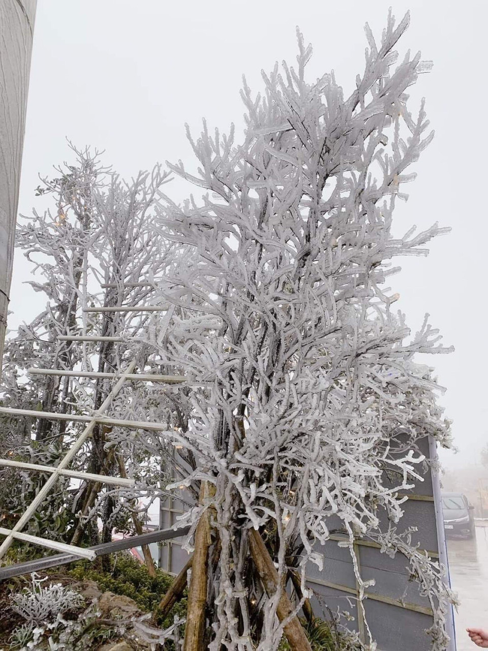  Tại đỉnh đèo Khau Phạ chỉ còn 0 độ C, xuất hiện sương muối và băng giá. (Ảnh: Tuấn Anh/TTXVN)