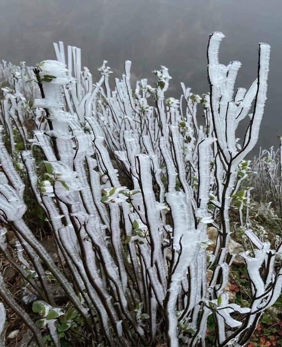 Ngày 9/1, do ảnh hưởng của không khí lạnh tăng cường, nền nhiệt chung ở huyện vùng cao Mù Cang Chải (Yên Bái) đã xuống 3 độ C. (Ảnh: Tuấn Anh/TTXVN)