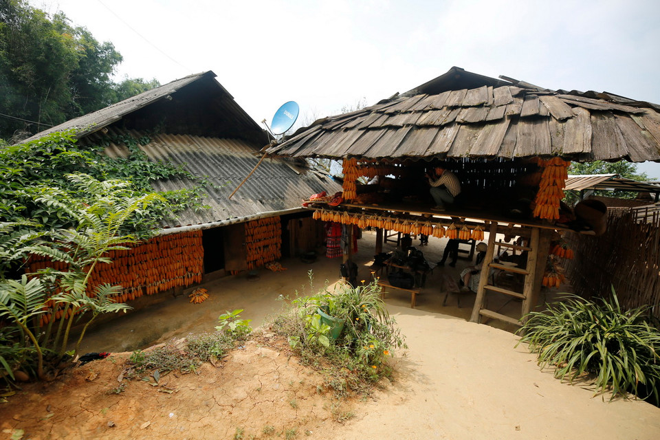 Khi đến với thôn Màng Mủ, xã Mồ Dề, huyện Mù Cang Chải, du khách sẽ được chiêm ngưỡng ngôi Nhà ngô độc đáo nổi tiếng được anh Giàng A Súa, một người Mông chính gốc sinh sống tại địa phương, dựng lên vào năm 2017. (Ảnh: Tuấn Anh/TTXVN)