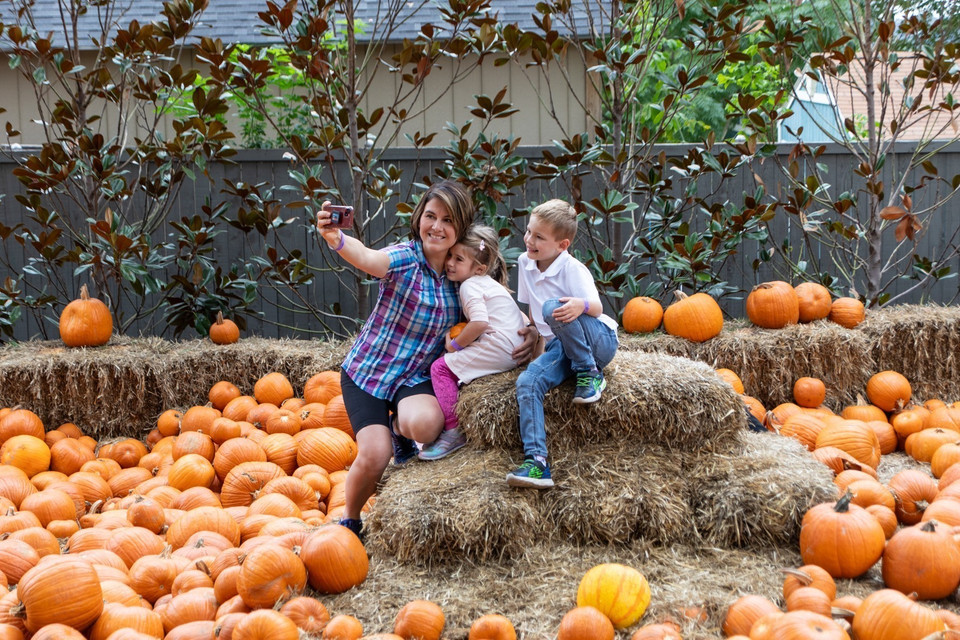Bí ngô nhiều kích thước lớn nhỏ được sắp xếp khéo léo, tạo thành những ngôi nhà xinh xắn. (Ảnh: THX/TTXVN)