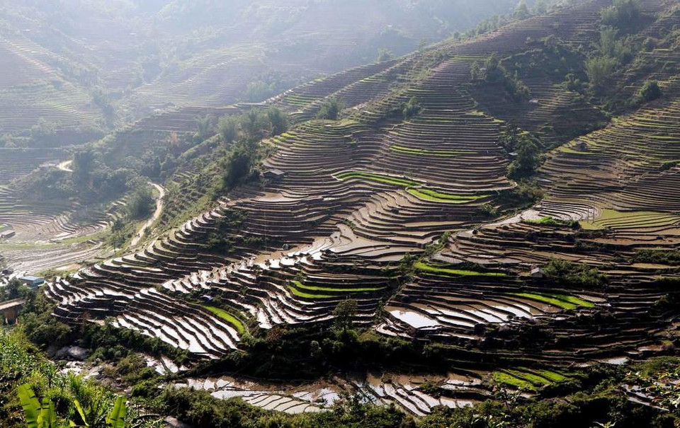 Những cơn mưa lớn mang dòng nước nguồn từ trên các ngọn núi đổ xuống những ruộng bậc thang tạo thành những màu đa sắc sinh động của cánh đồng biên giới xã Vàng Ma Chải, huyện Phong Thổ. (Ảnh: Quý Trung/TTXVN)